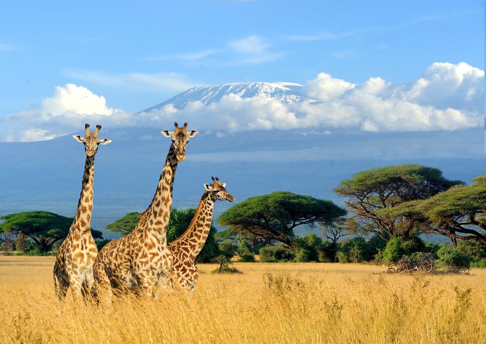 COVID 19 – A Possible Touch to Africa’s Tourism Destination Image